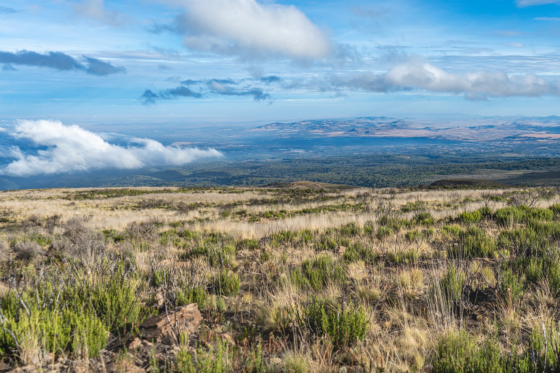 Nairobi - Sirimon gate- Old Moses camp. ( 3,300m) on Mt Kenya Trekking Sirimon to Chogoria