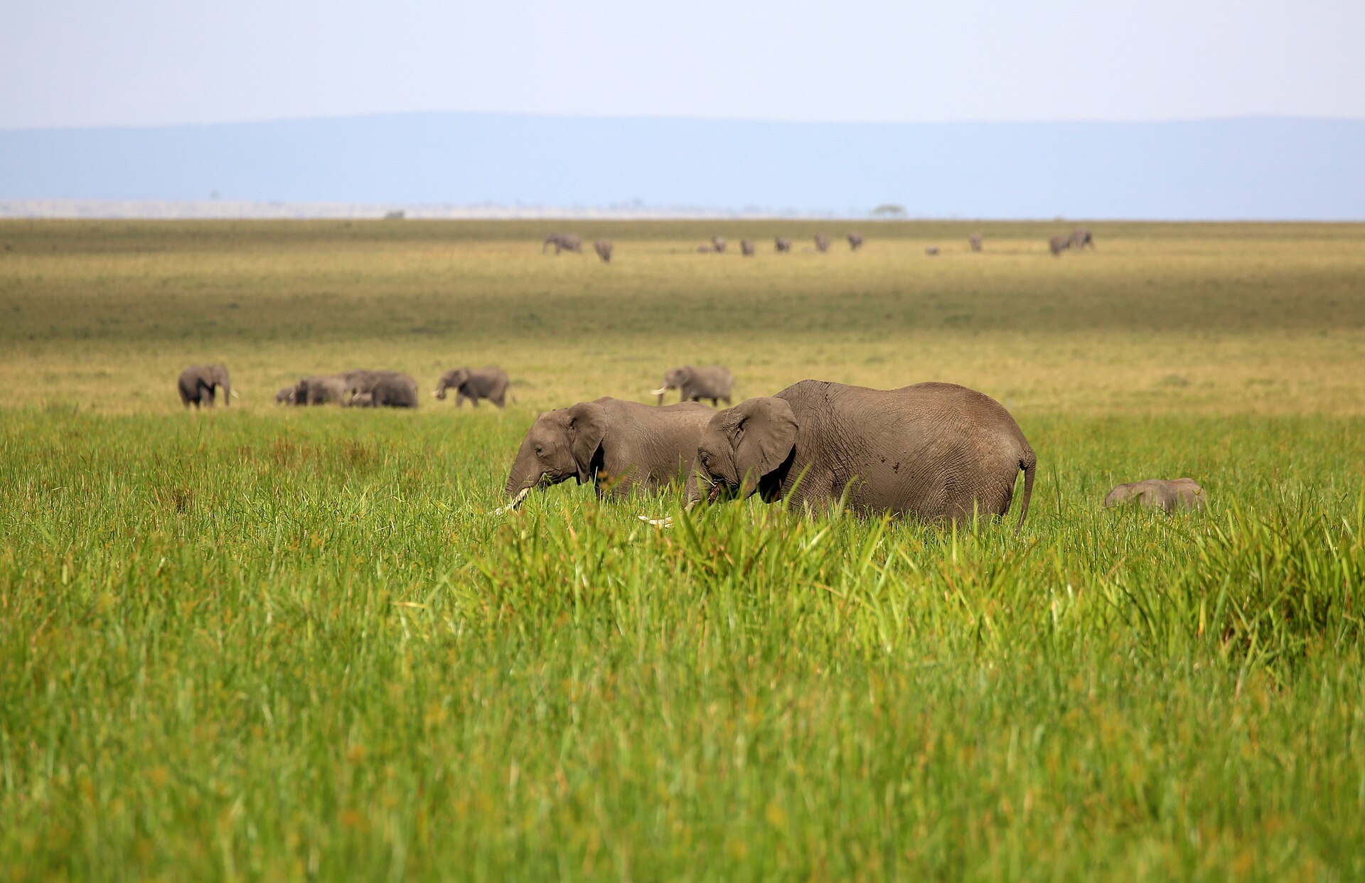 Day 2 on 6-Day Kenya Photography Safari