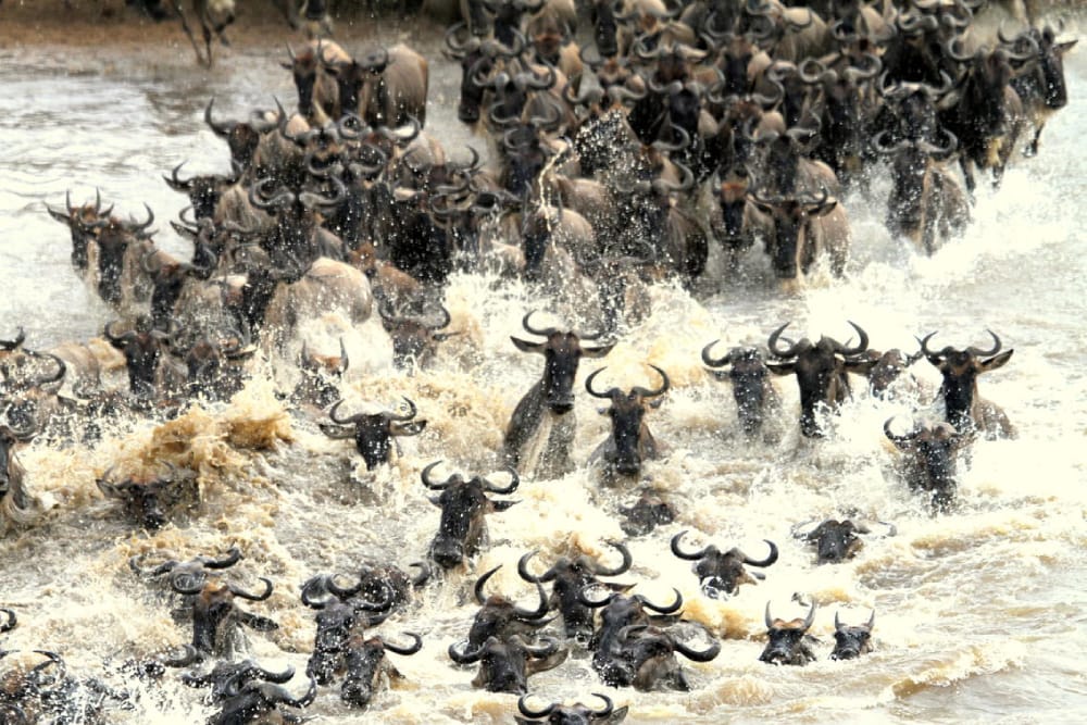 Day 5 on 6-Day Kenya Photography Safari