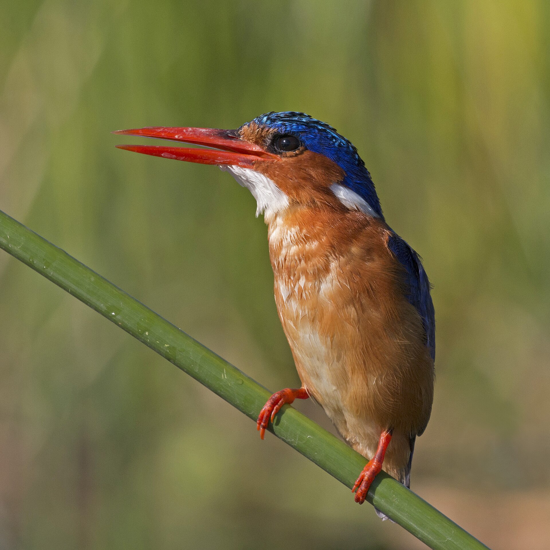 Day 6 on 6-Day Kenya Photography Safari