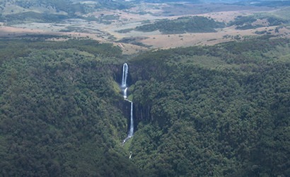Aberdares National Park in Kenya